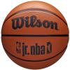 Wilson NBA Jr DRV Fam Logo Ball WZ3013001